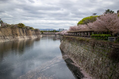 大阪城公園にて