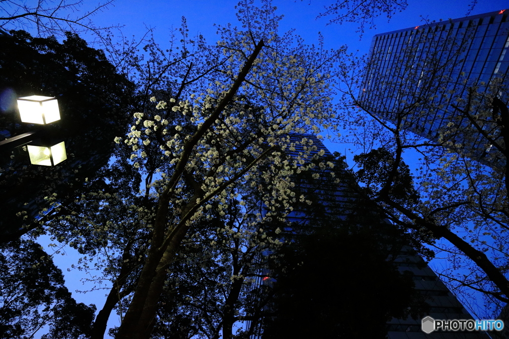 ビルのはざまで