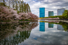 大阪城公園にて