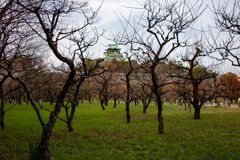 大阪城公園にて