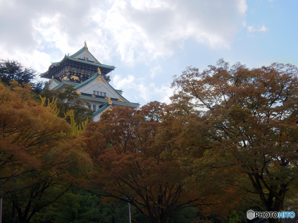 色づき始める大阪城公園