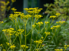 新梅田シティにて
