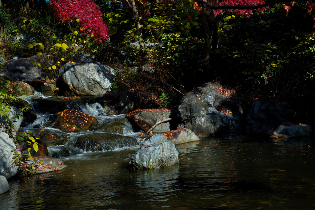 鶴見緑地公園にて