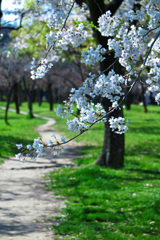 大阪城公園にて