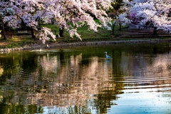 鶴見緑地公園にて