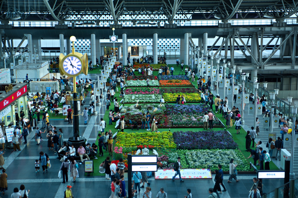 フラワーアートミュージアム2019