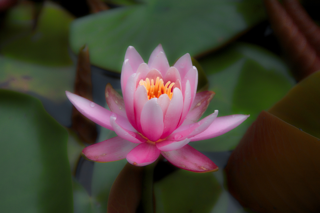 鶴見緑地公園にて