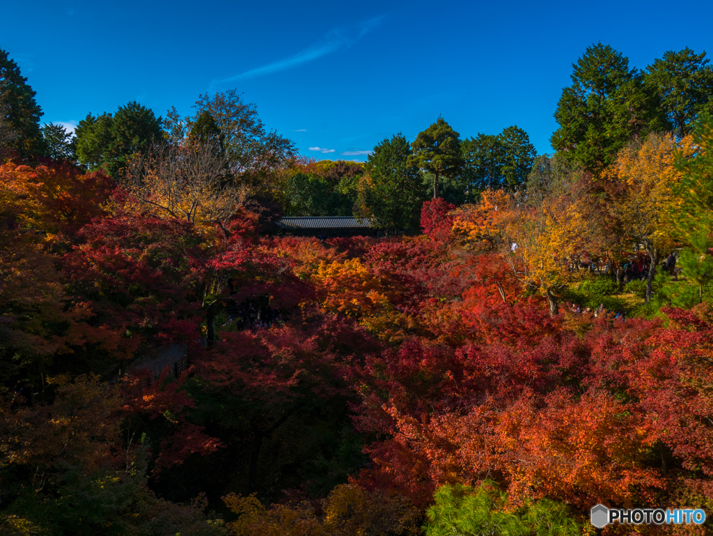 東福寺にて