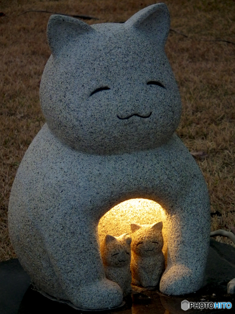 DSCF0699