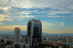 大阪ステーションシティ　天空の農園にて