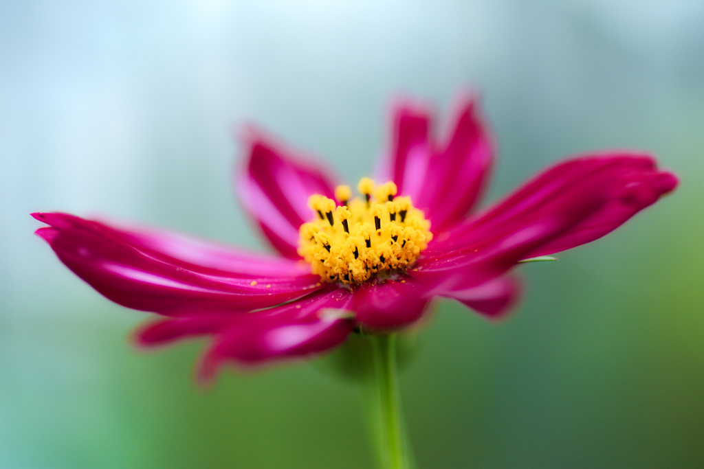 大阪ステーションシティ　天空の農園にて