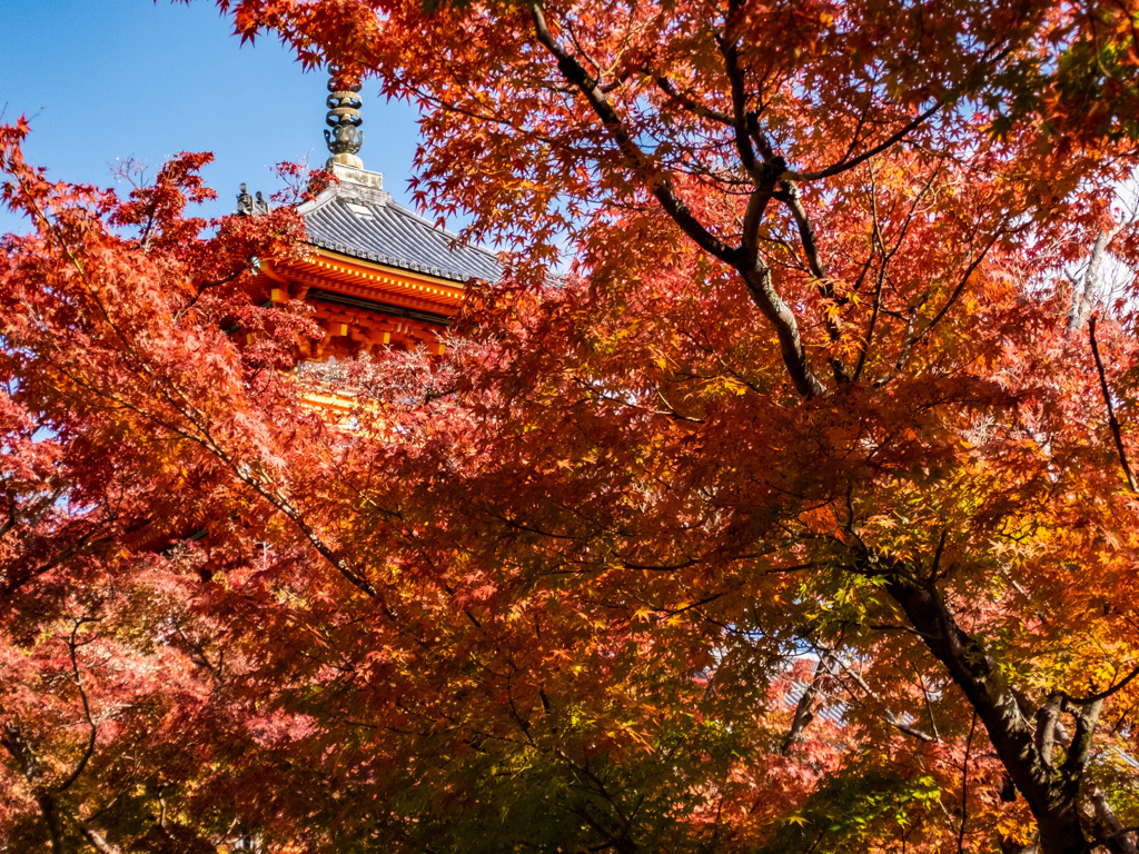 清水寺にて
