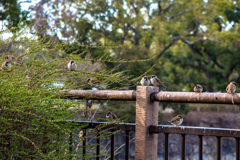 それぞれの立場？