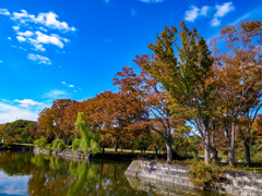 そろそろ見頃？