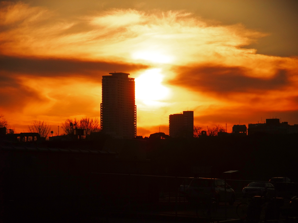 帰り道で・・・