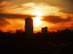 帰り道で・・・