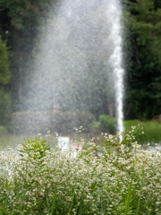 長居植物園にて