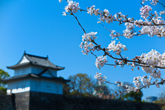 大阪城公園にて