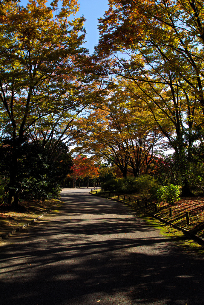 万博記念公園にて