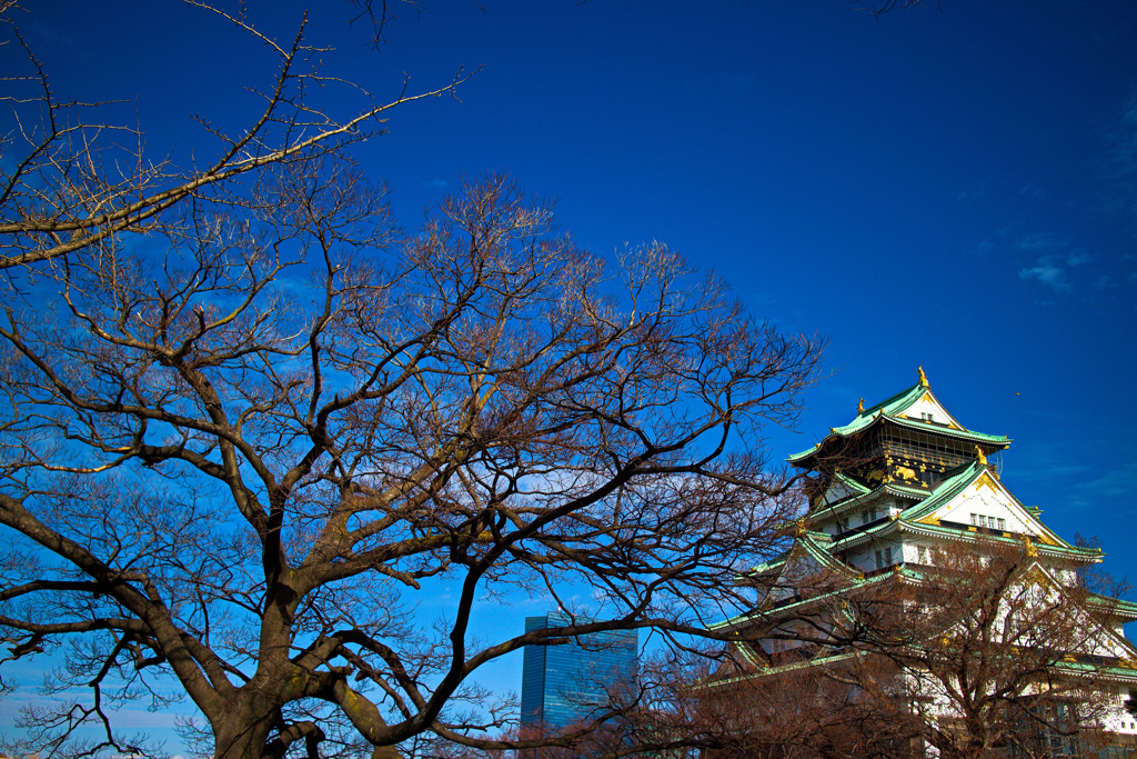 大阪城公園にて