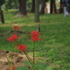 P9212686