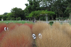 長居植物園にて