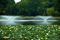 長居植物園にて（試し撮り）
