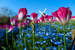 鶴見緑地公園にて
