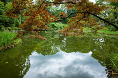 平安神宮　神苑