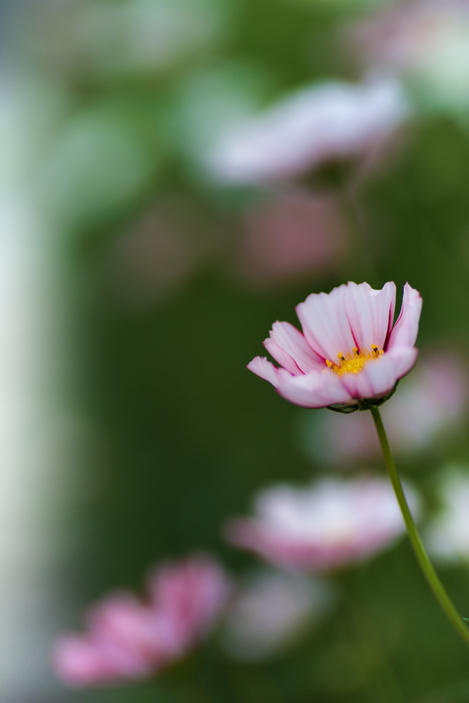 大阪ステーションシティ　天空の農園にて