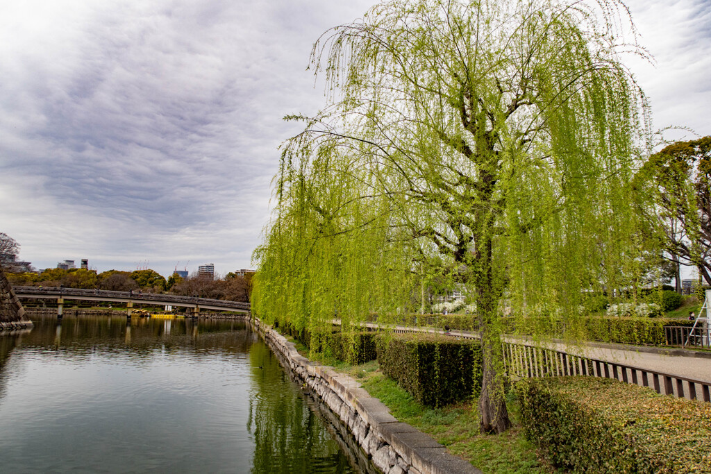 大阪城公園にて