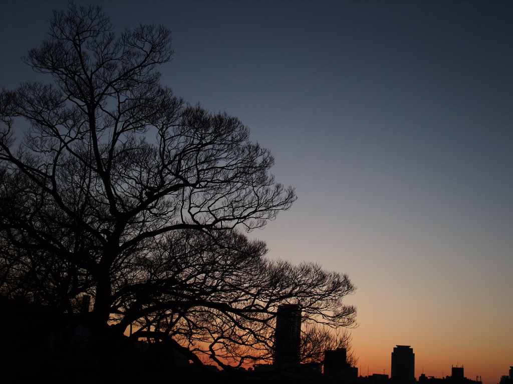 DSCF7566