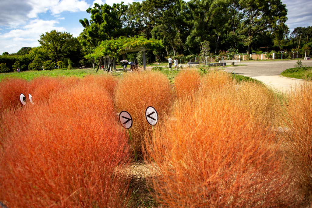 長居植物園にて