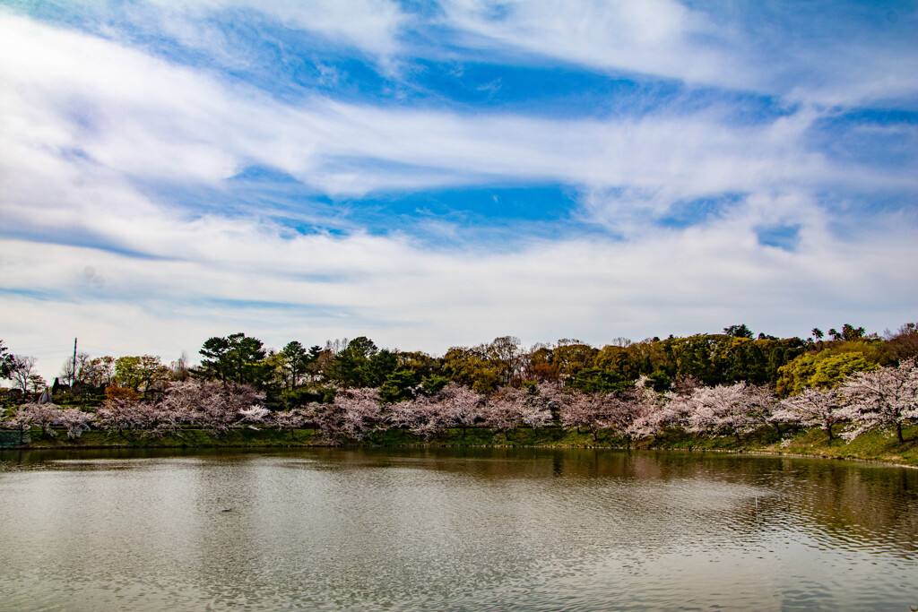 鶴見緑地公園にて