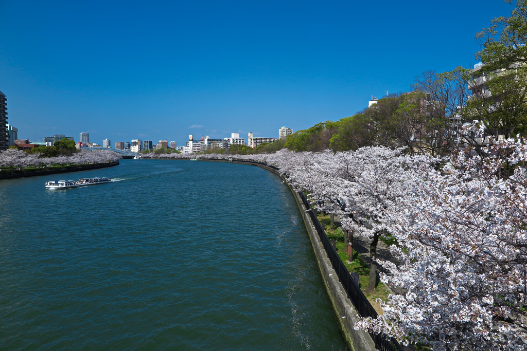 大川沿いにて