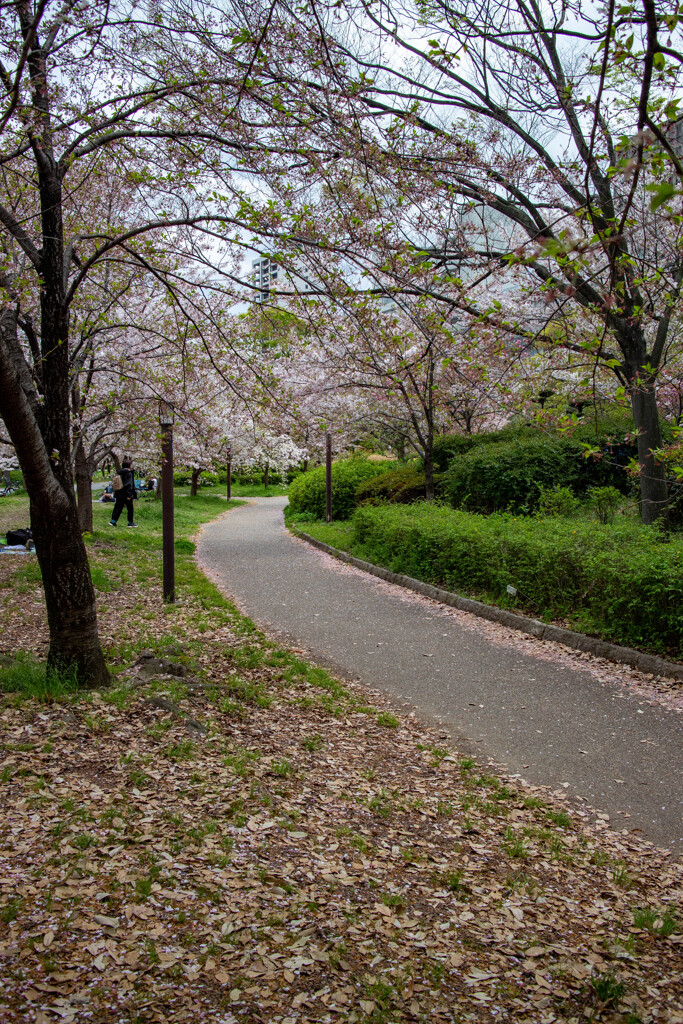 大阪城公園にて