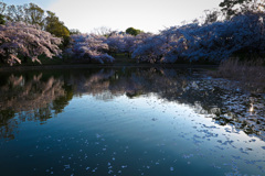 鶴見緑地公園にて