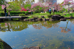 藤田邸跡公園にて