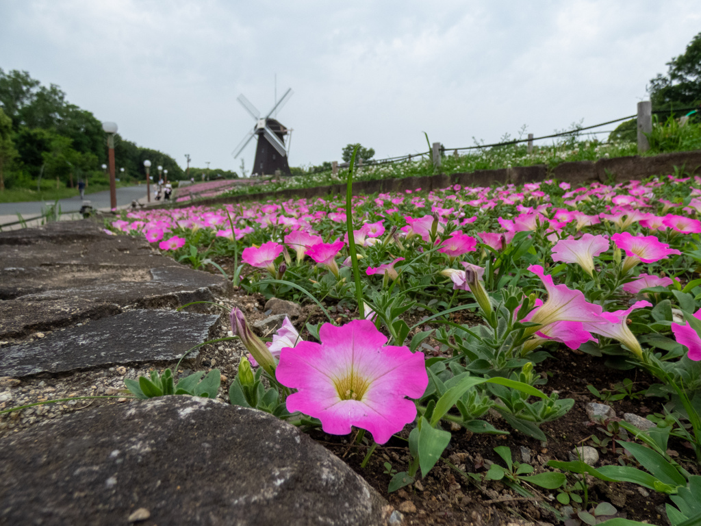 鶴見緑地公園にて