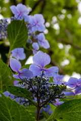 下から撮ってみた