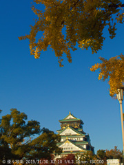 大阪城公園にて