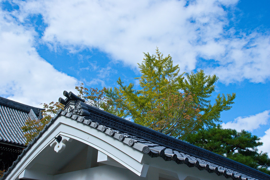 南禅寺で秋探し
