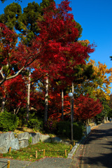 鶴見緑地公園にて