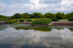 万博記念公園にて