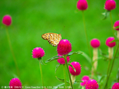 ひと時を楽しむ