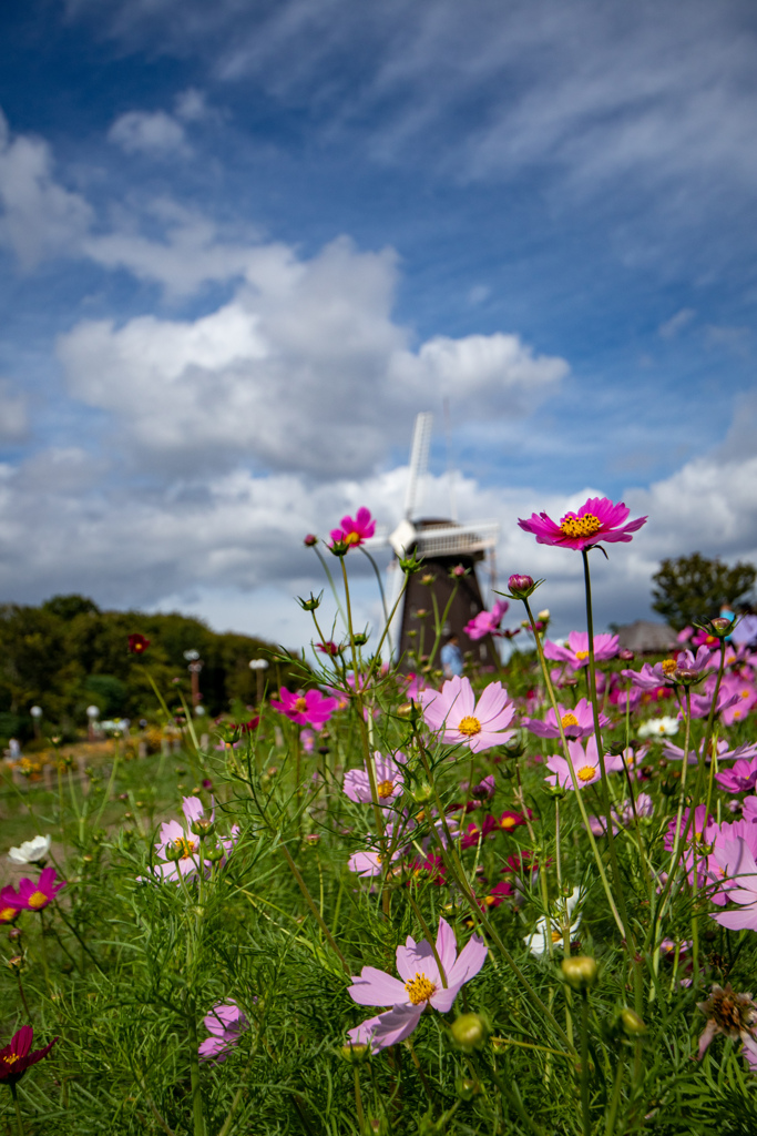 鶴見緑地公園にて