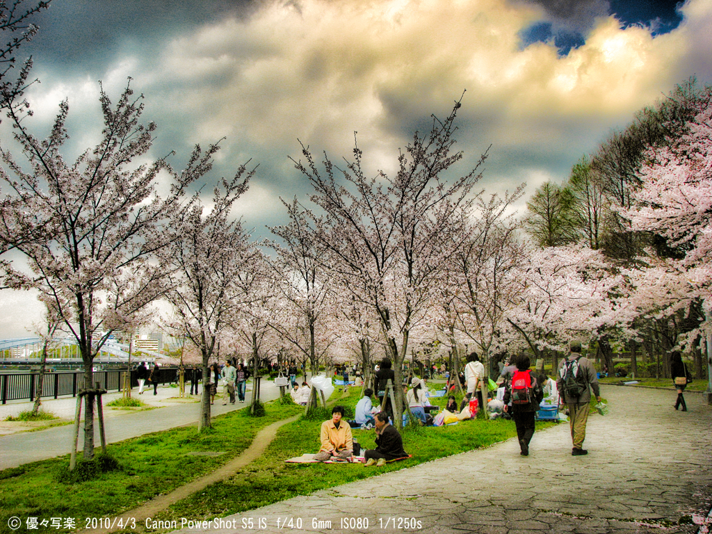 毛馬桜ノ宮公園