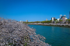 大川沿いにて