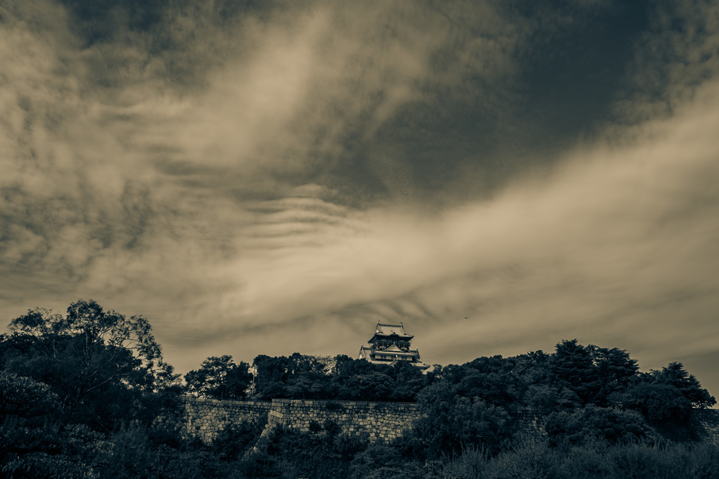 SDIM2138