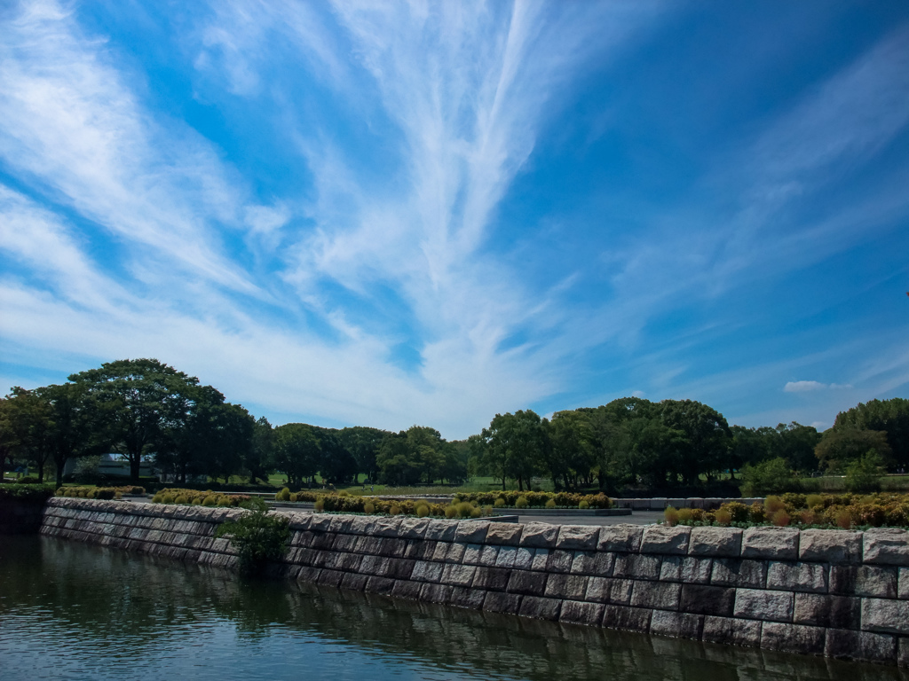 万博記念公園にて（F100fd）